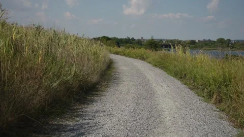 Tranquil Walking Route Surrounded By Lush Marsh Vegetation Adjacent To Peaceful Stock-Footage 323777537