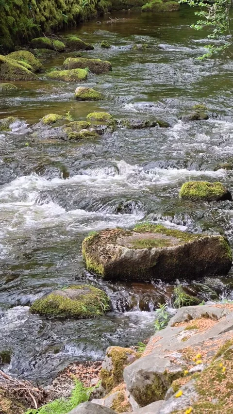 Tranquil Water Cascade Over Textured Riverbed Rocks With Foam Stock-Footage 335099239
