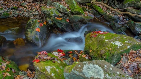 Tranquil Water falls in a mountain stream with Red Yellow Leaves Time Lapse 4K Stock Footage 129352469