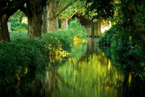 Tranquil Water Stock Photos