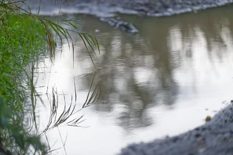 Tranquil Water Reflection in Nature Stock Photos