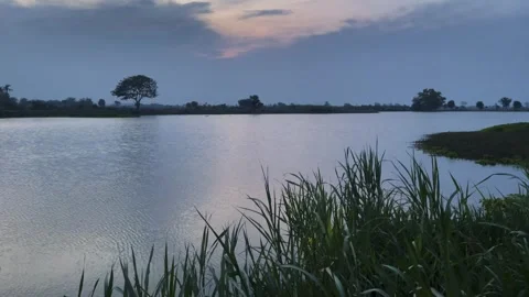 Tranquil Water Reflection at Sunset Serene Lake Nature Photography Peaceful Stock Footage 307817579
