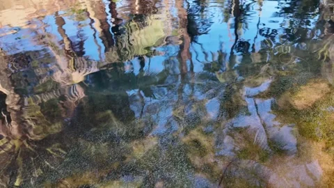 Tranquil Water Reflections, Impermanence Captured Stock Footage 259687940