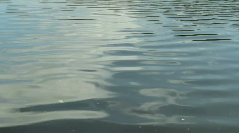 Tranquil water scene Stock Footage 755341