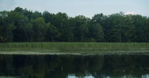 Tranquil water in a small bay overlooking trees and sky Stock Footage 120699577