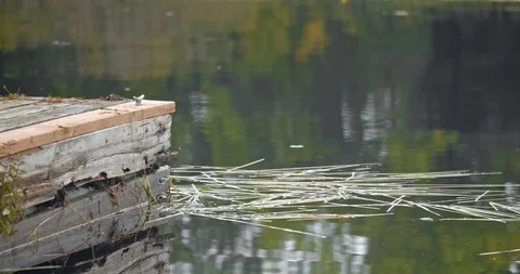Tranquil water in a small bay overlooking trees and sky Stock Footage 120699662