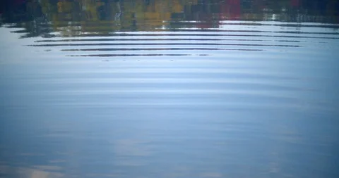Tranquil water in a small bay overlooking trees and sky Stock Footage 120699907