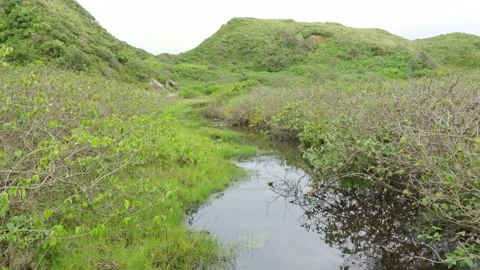 Tranquil Water Stream in Lush Green Landscape with Rolling Hills 스톡 동영상 336452438