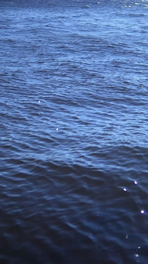 The tranquil water surface exhibits gentle ripples glimmering under the warm Stock Footage 296731161
