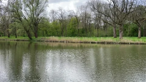 Tranquil Water Surface Reflecting Spring Landscape in Amsterdam Forest Netherlan Stock Footage 334149879