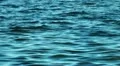 tranquil water waves HD Footage