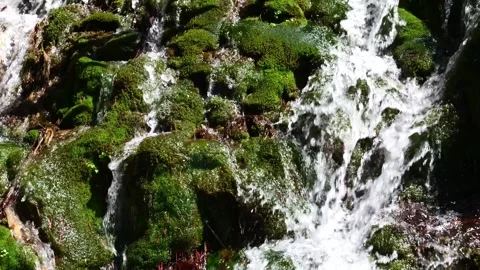 Tranquil waterfall cascading over moss-covered rocks . Close-up Stock Footage 305032324