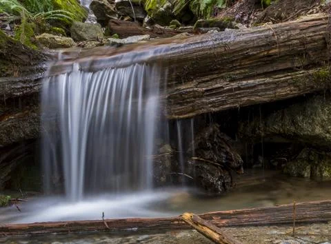 Tranquil waterfall cascading over rocks in a lush forest during late aftern.. Stock Photos