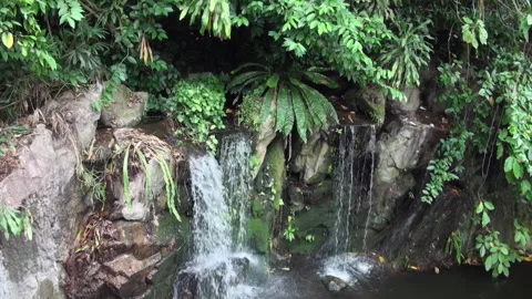Tranquil waterfall cascading through lush tropical greenery at midday Stock Footage 282240846