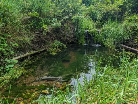 Tranquil waterfall leads into a shallow stream nestled among dense vegetation Foto stock