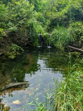 Tranquil waterfall leads into a shallow stream nestled among dense vegetation Stock Photos
