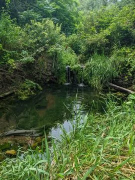 Tranquil waterfall leads into a shallow stream nestled among dense vegetation Stock Photos