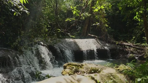Tranquil waterfall in lush forest setting. Nature and relaxation. Stock Footage 260341798