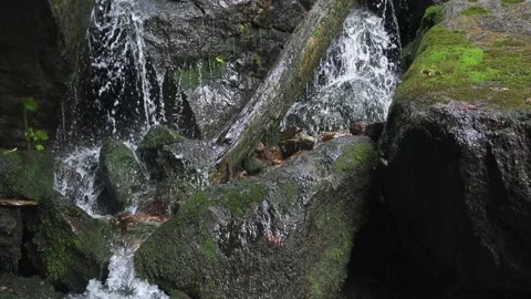 Tranquil Waterfall in Mountain Stream Nature, Clear Water Flows Gently over Stock Footage 313906264
