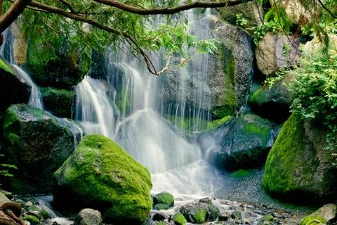 Tranquil Waterfall Stock Photos