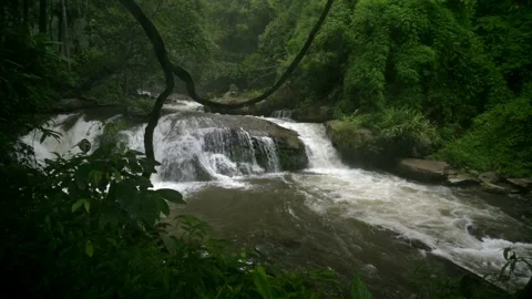 Tranquil Waterfall Scene in Lush Jungle near Chiang Mai Stock Footage 315491465