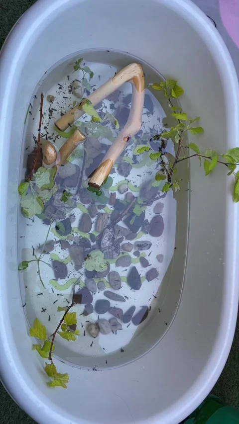 Tranquil waterfilled tub featuring floating plants and pebbles Stock Footage 341672185