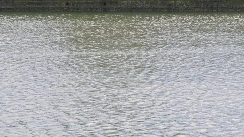 Tranquil Waters: 4K Video of Bay Waves, Ripples, and Gentle Breeze 動画素材 248599643