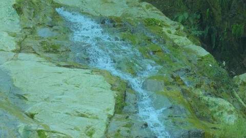 Tranquil Waters: A Gentle Cascade Over Mossy Rocks in Nature’s Serenity Stock Footage 285038806