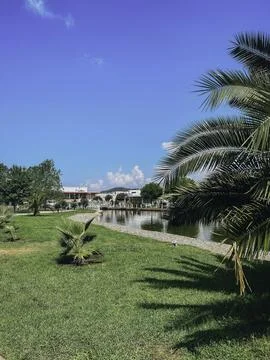 Tranquil Waters Stock Photos