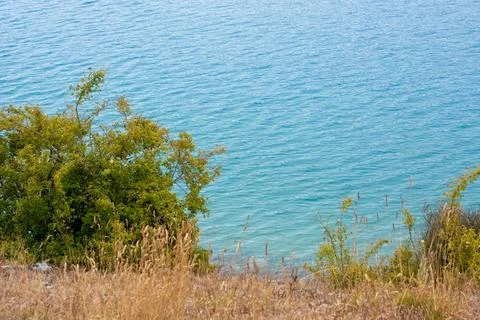 Tranquil Waterside View with Greenery Stock Photos