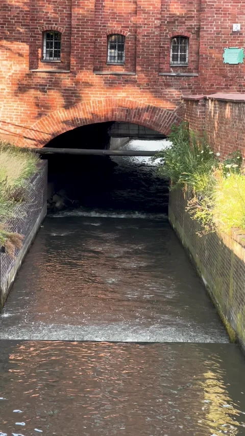 A tranquil waterway flows beneath a stunning arched home Stock Footage 303891692