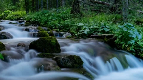 Tranquil Waterways of Tatra Forest - High-Speed Time Photography Stock Footage 306401623