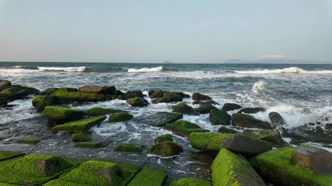 Tranquil Waves on Mossy Rocks Stock Footage 290080832
