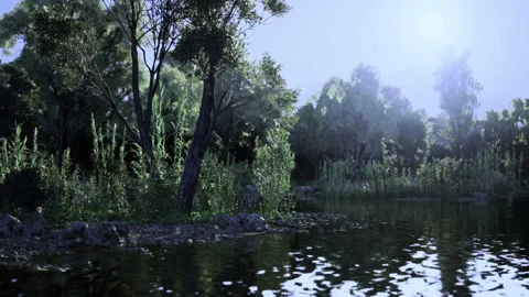Tranquil wetland scene featuring blue reflections and foggy reeds Stock Footage 341828696