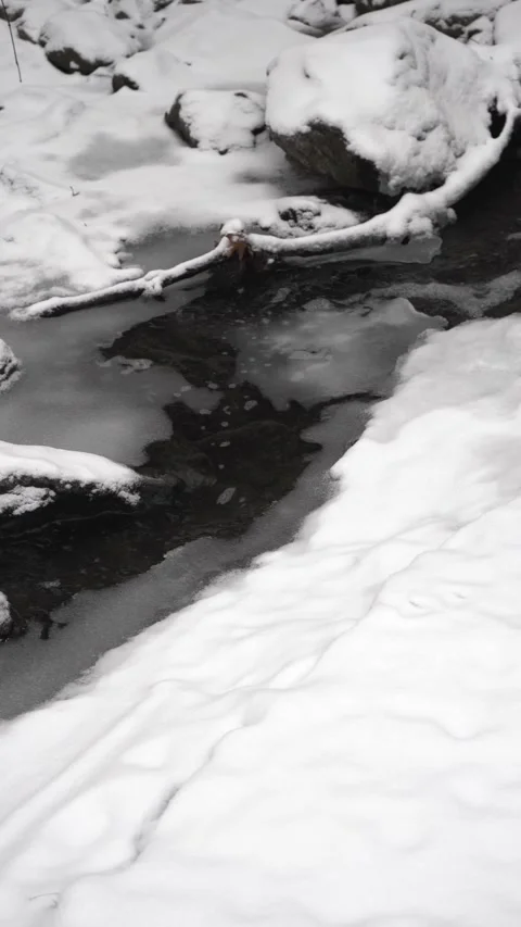 Tranquil Winter Brook Among the Snow Stock Footage 296646289