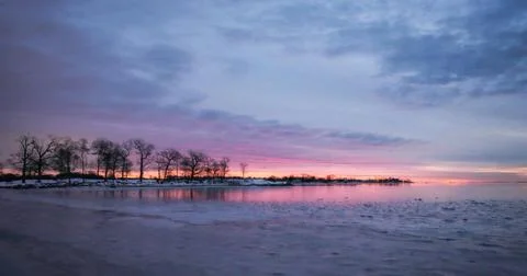 Tranquil Winter Dawn with Bare Trees and Purple Sky Reflection Stock Photos