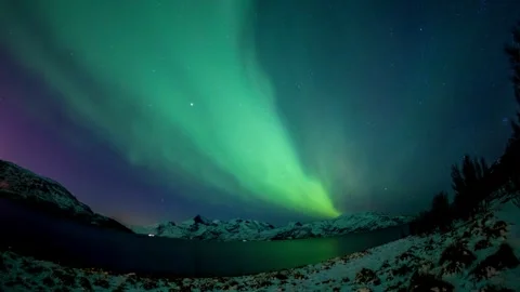 Tranquil Winter Forest Bathed in Radiant Northern Lights. Serene Aurora Borealis 스톡 동영상 334658798