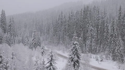 Tranquil Winter Forest with Snowy Road. Heavy snow in Romania forest. Stock Footage 293467086