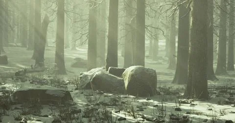 Tranquil winter forest with sun filtering through snowy trees Stock Illustration