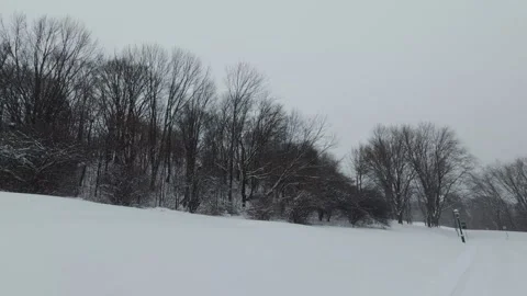 Tranquil Winter Nature Scene With Falling Snow Stock Footage 323423483