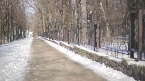 Tranquil Winter Pathway: A Snow-Covered Journey Through Bare Trees | HLG Stock Footage 302756783