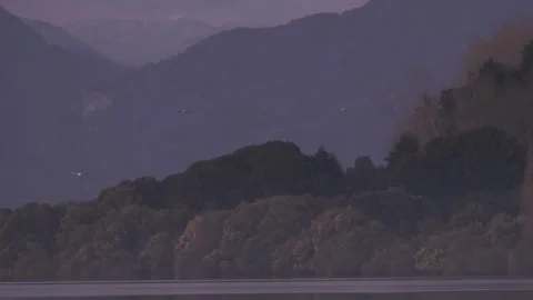 Tranquil winter scene of birds flying over a lake at sunset. Stock Footage 256643486