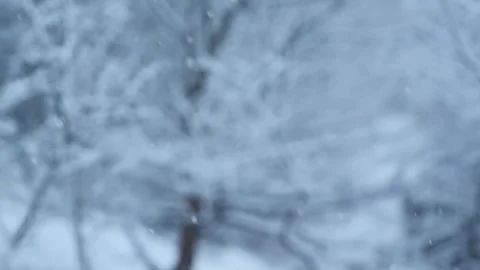 In a tranquil winter scene, delicate snowflakes fall gracefully to the ground Stock Footage 337107708