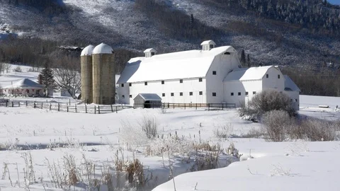 Tranquil winter scene of historic white barn with creek, Park City, Utah. Stock Footage 99994750