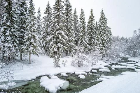 A tranquil winter scene with a river flowing through snowy surroundings, li.. Stock Photos