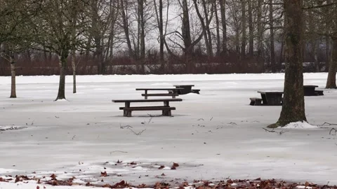 Tranquil Winter Scene with Snow-Covered Park Benches and Trees Stock Footage 268910982