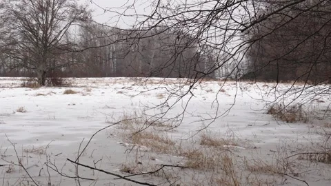Tranquil Winter Scene with Snow-Covered Frozen Pond and Bare Trees Video stock 268914809