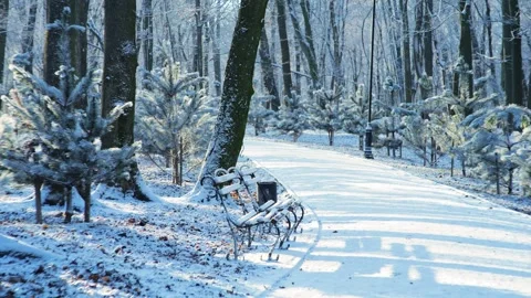 Tranquil winter scene in a snow-covered city park featuring trees and a bench.  Video stock 326155764