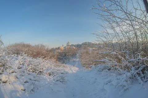 A tranquil winter scene with a snow-covered path between tree-lined banks, su Stock Photos