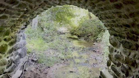 Tranquil woodland stream flows under colonial American stone arch bridge tunnel Stock Footage 198308050
